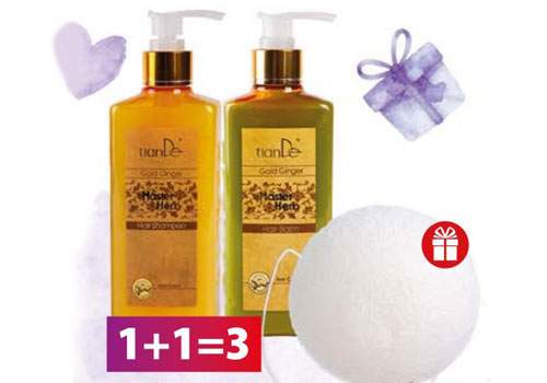 ЕНЕРГИЯТА НА ДЖИНДЖИФИЛА